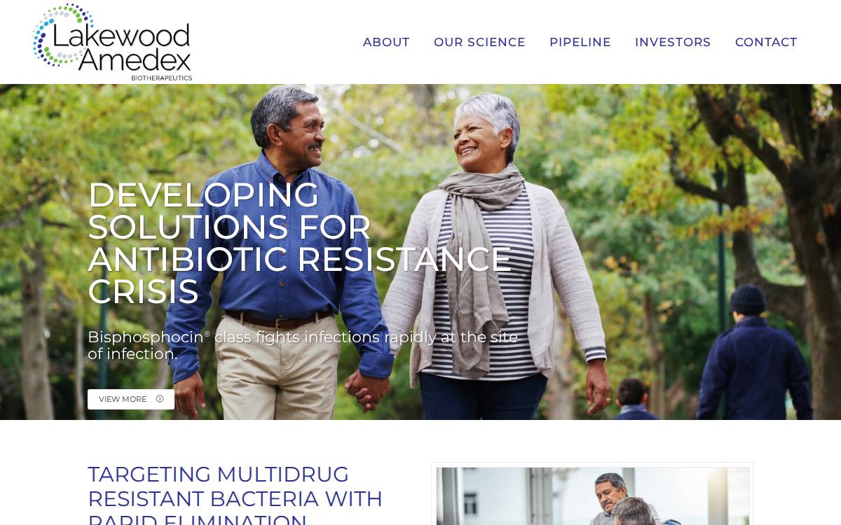 Lakewood-Amedex website preview