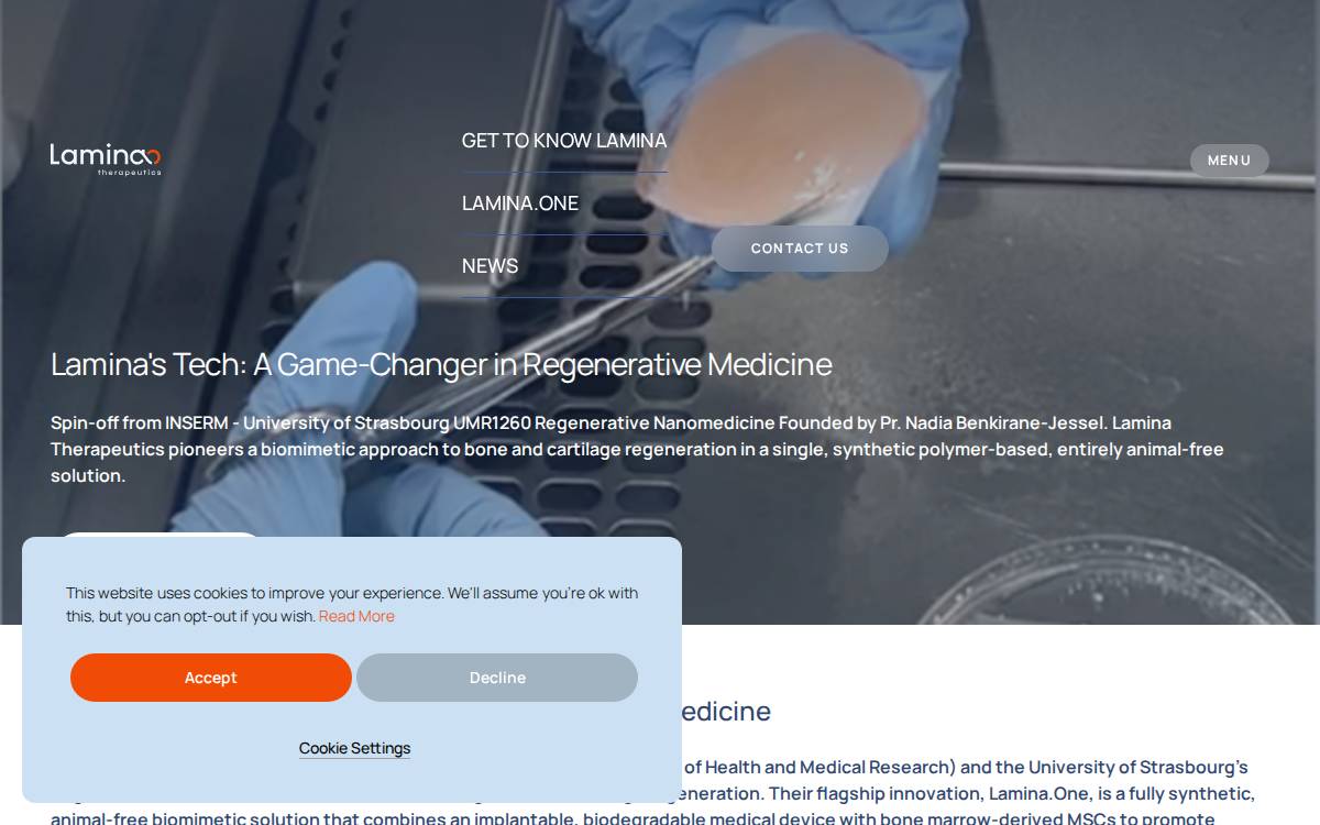 Lamina website preview