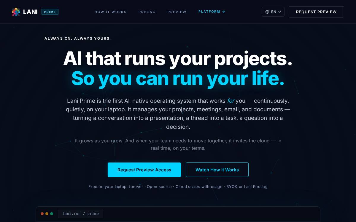 Lani Quantum Solutions website preview