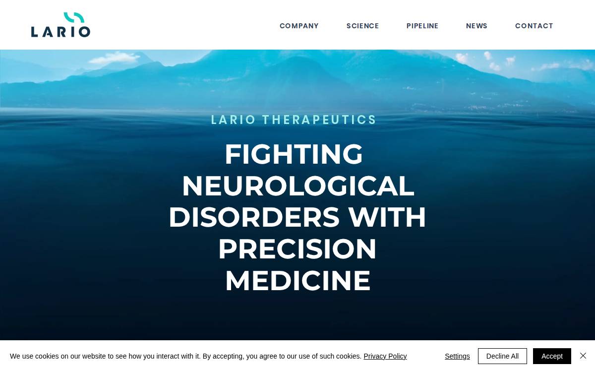 Lariotx website preview