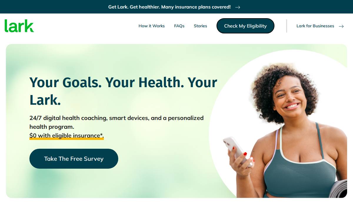 Lark website preview