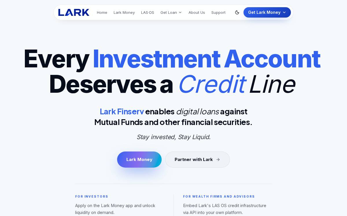 Lark Finserv website preview