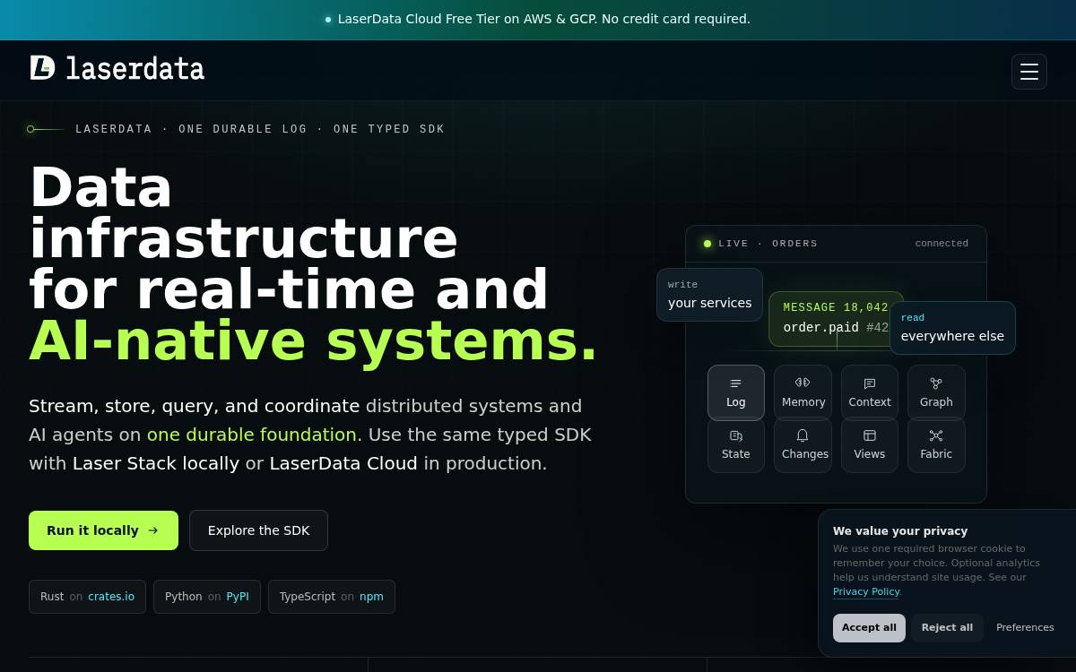LaserData website preview