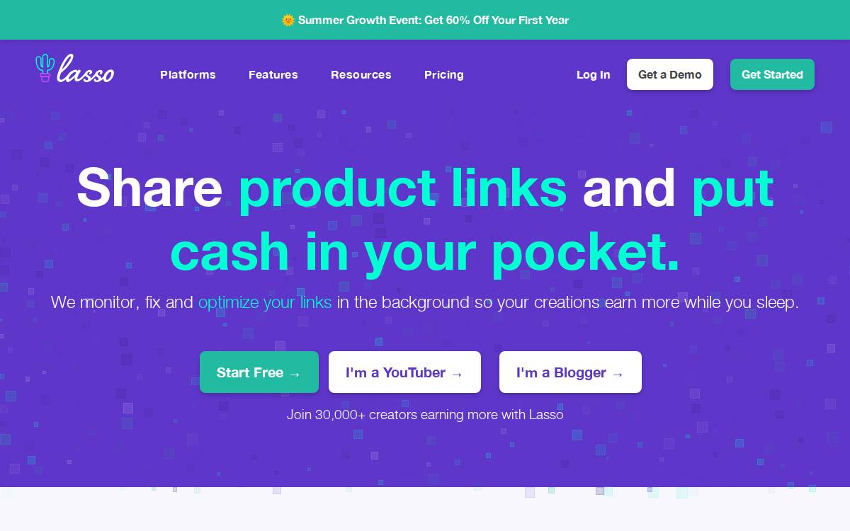 Lasso website preview