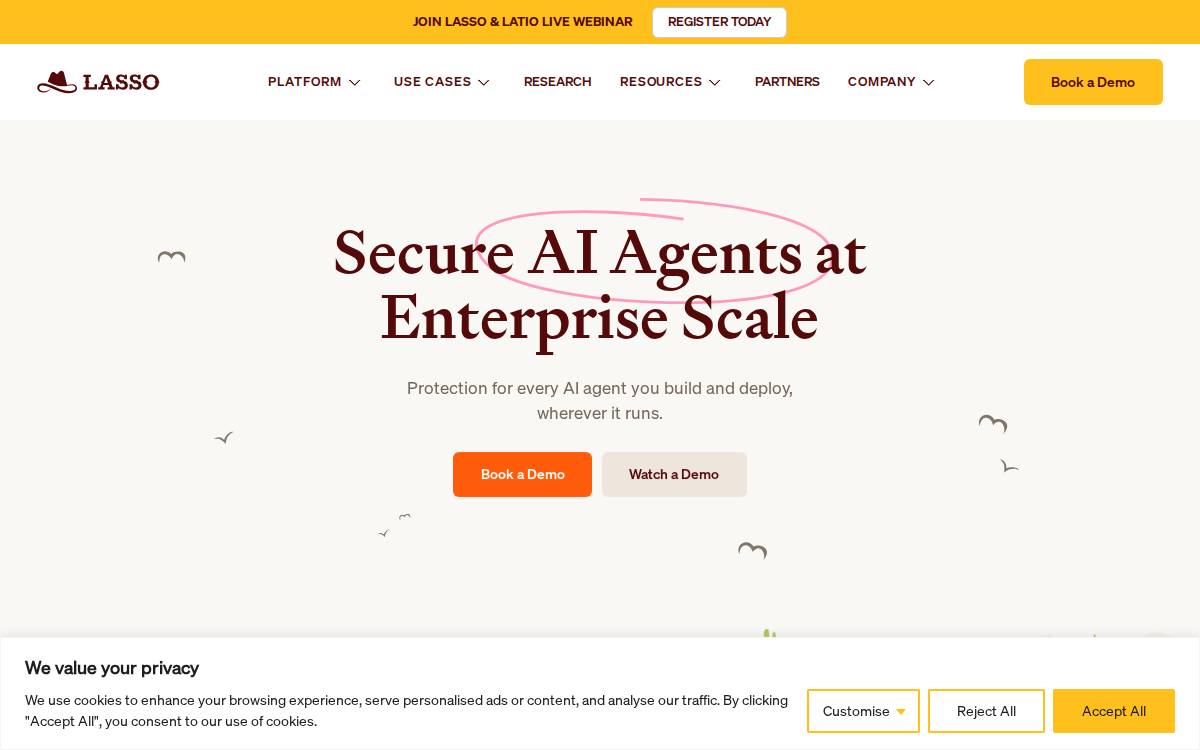 Lasso website preview