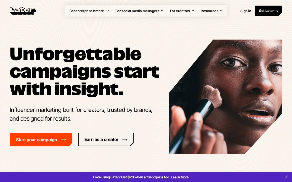 Later website preview