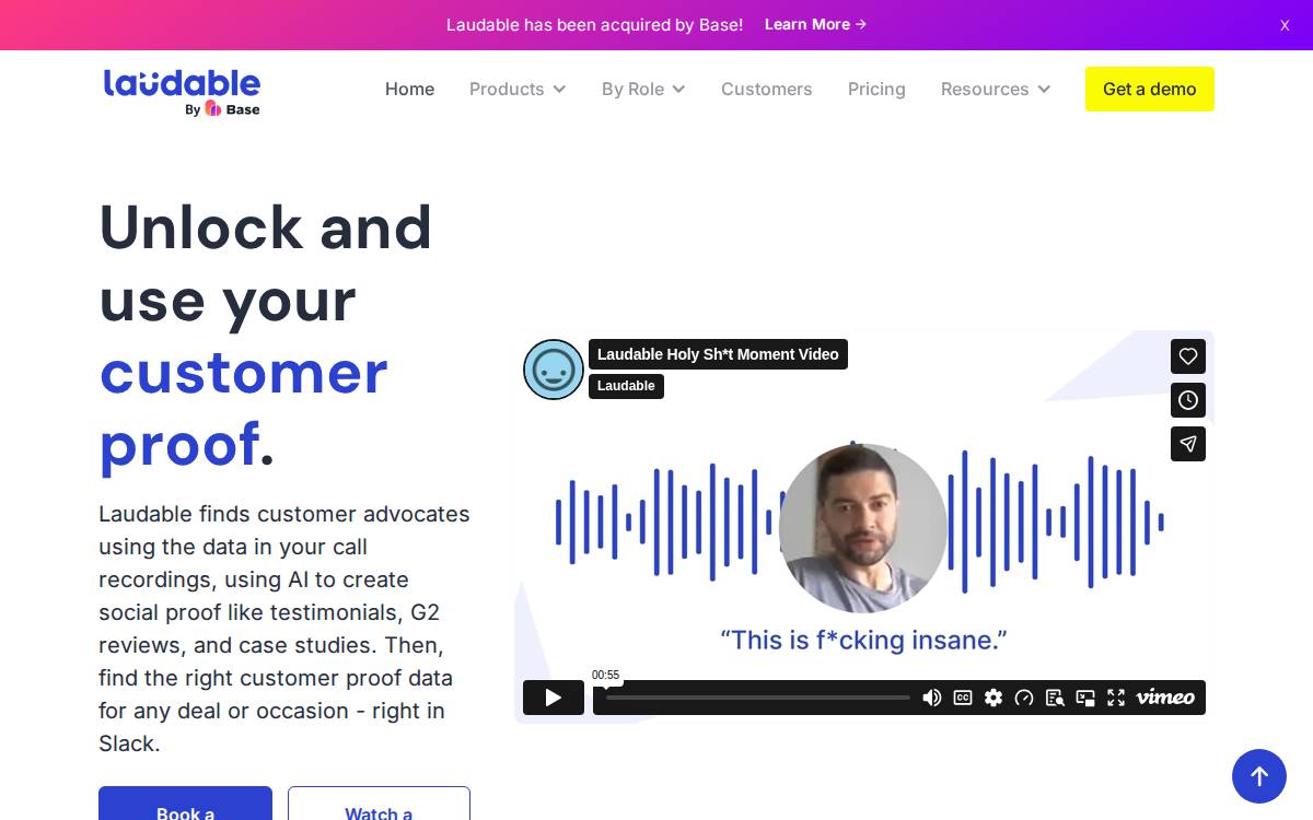 Laudable website preview