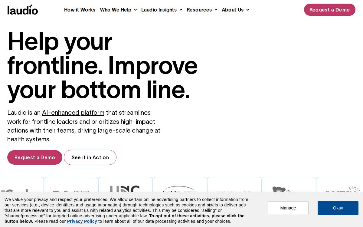 Laudio website preview