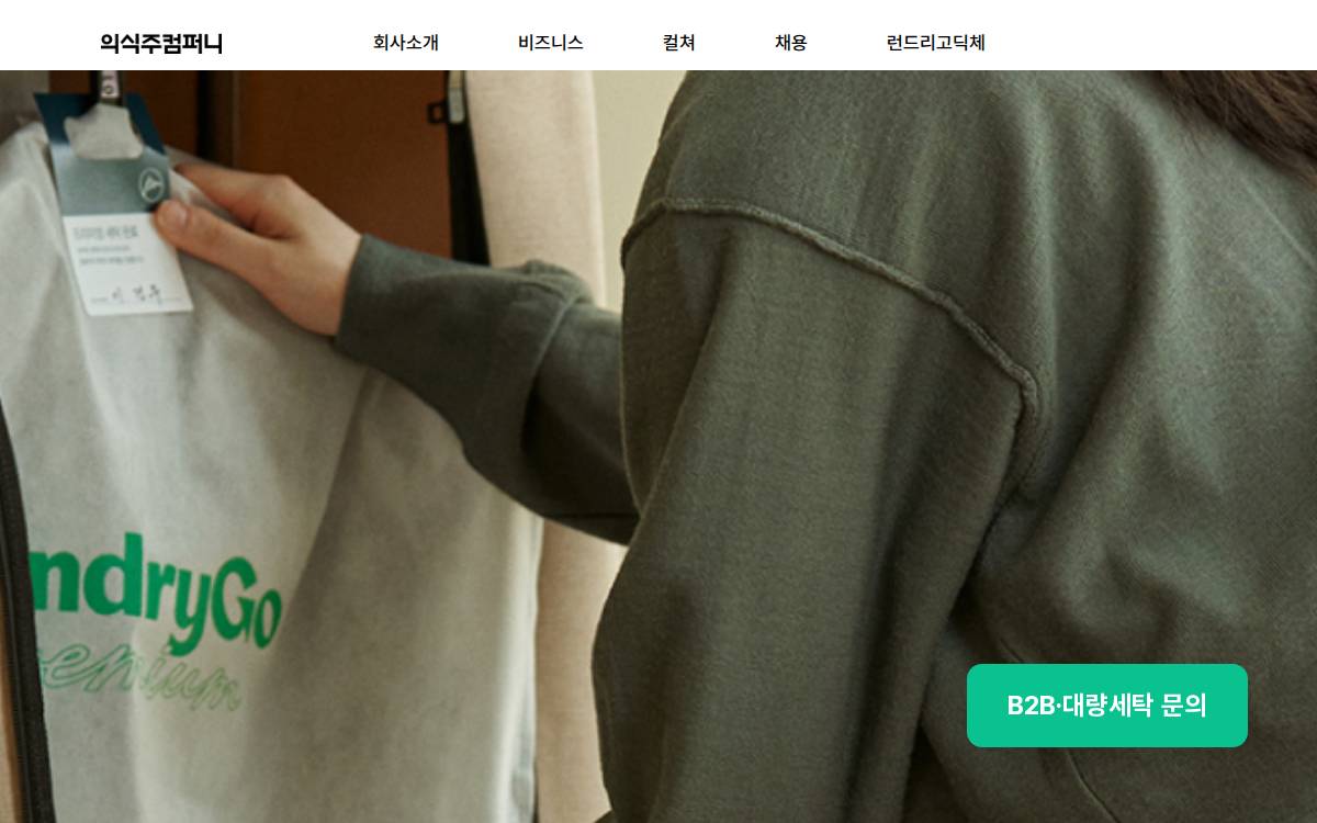 Laundrygo website preview
