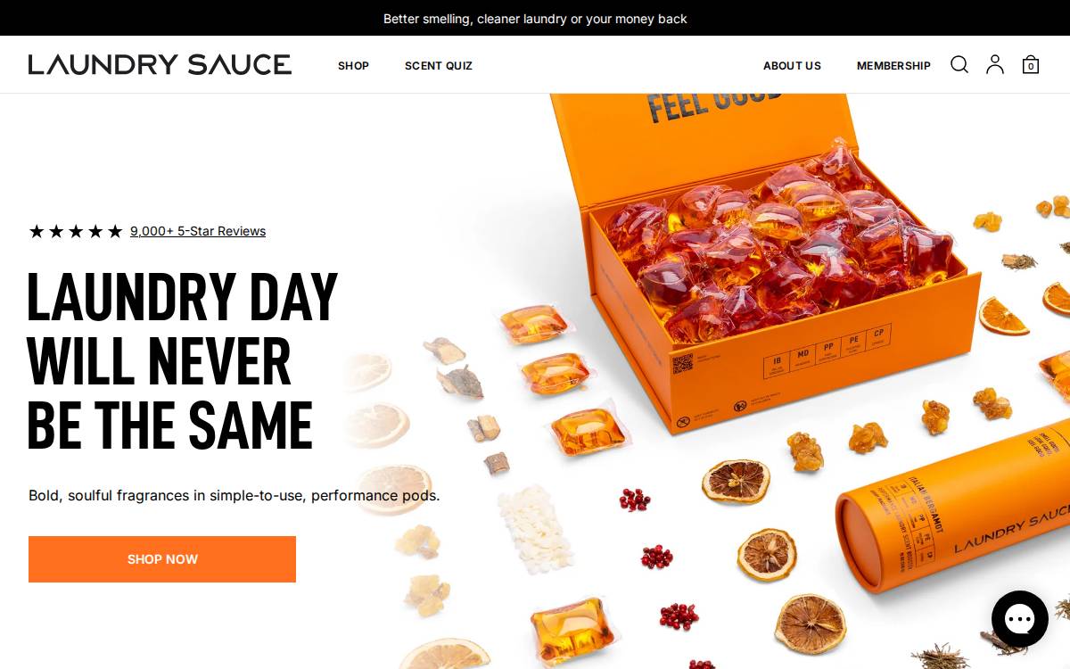 Laundry Sauce website preview