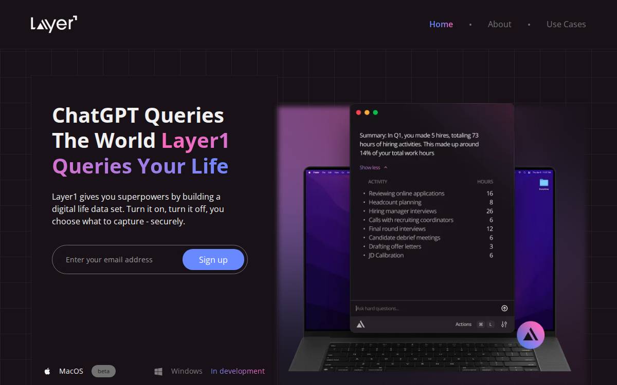 Layer website preview