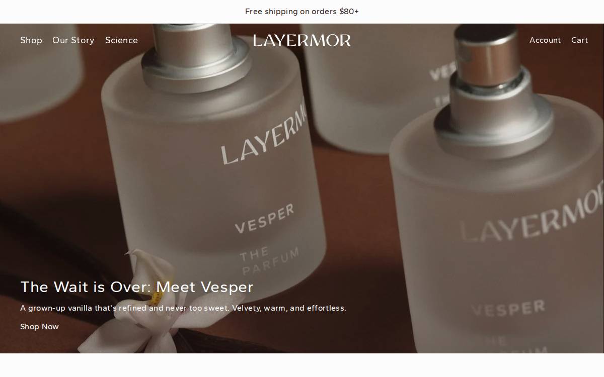 Layermor Consumer Products website preview