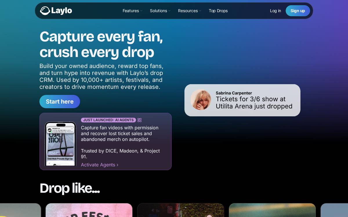 Laylo website preview