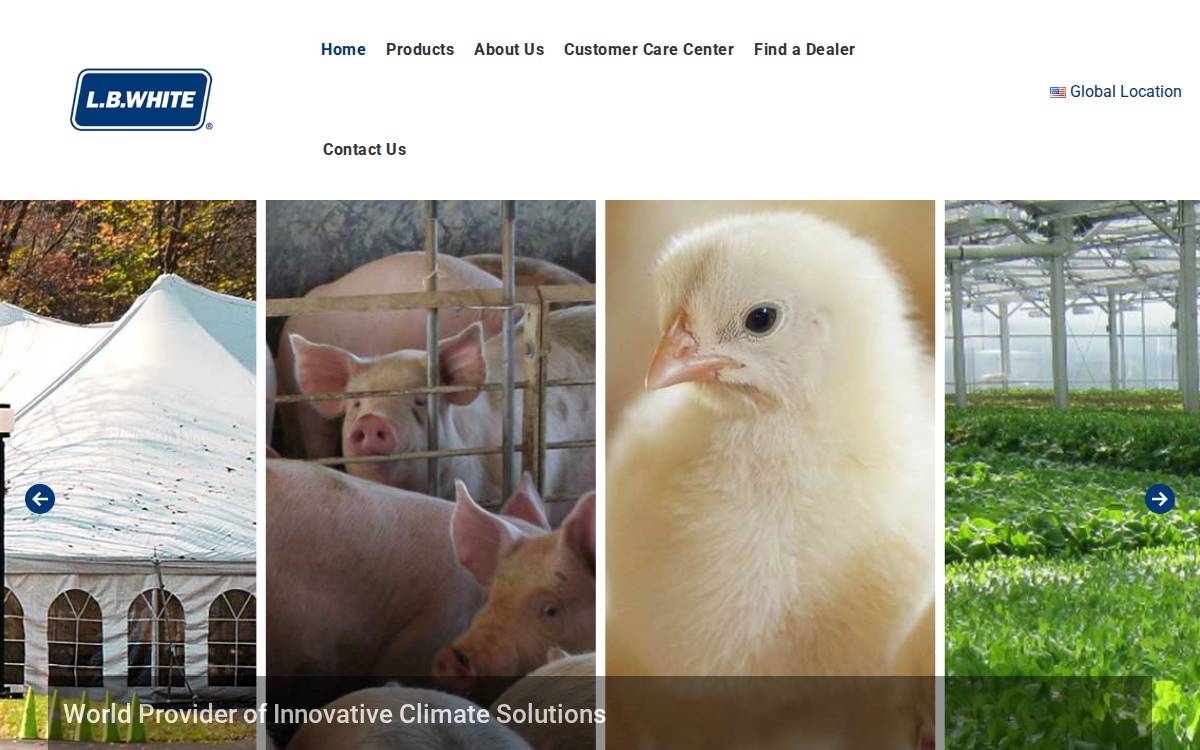 Lbwhite website preview