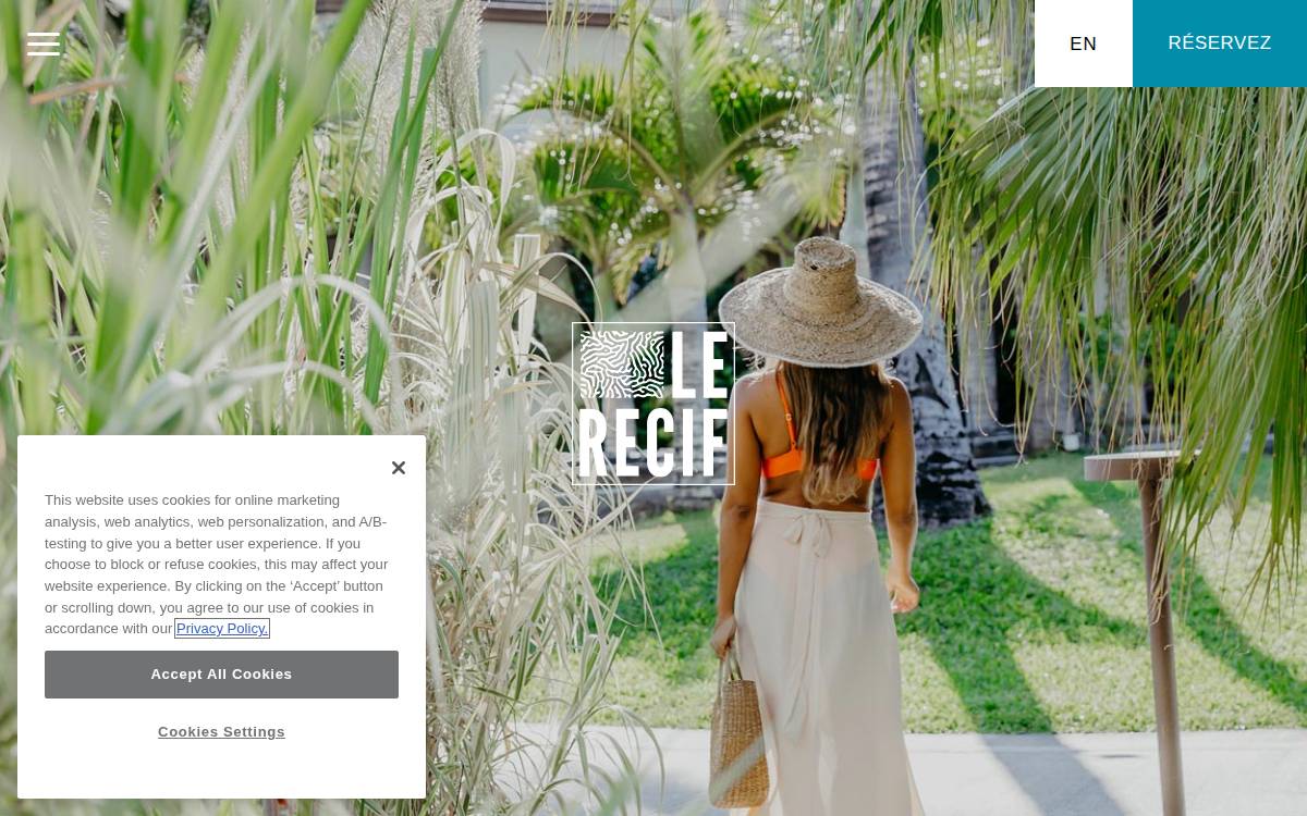 Le Recif website preview