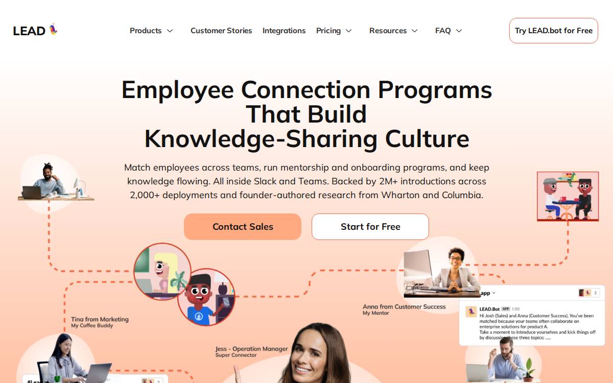 Lead website preview