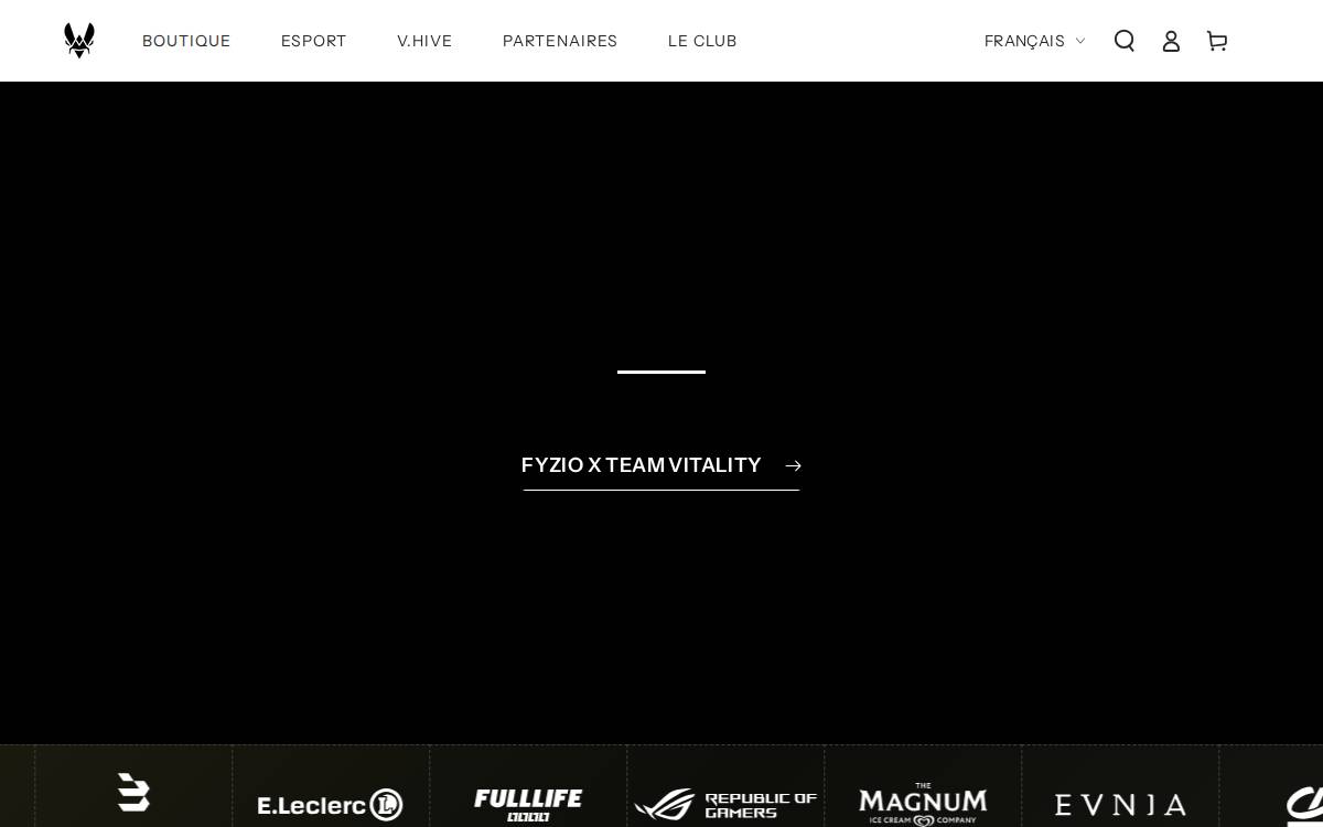 Leading european esport club website preview