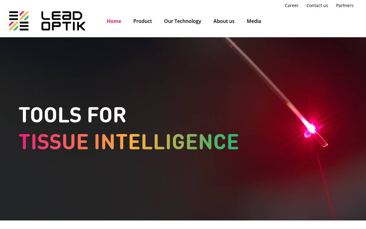 Leadoptik website preview