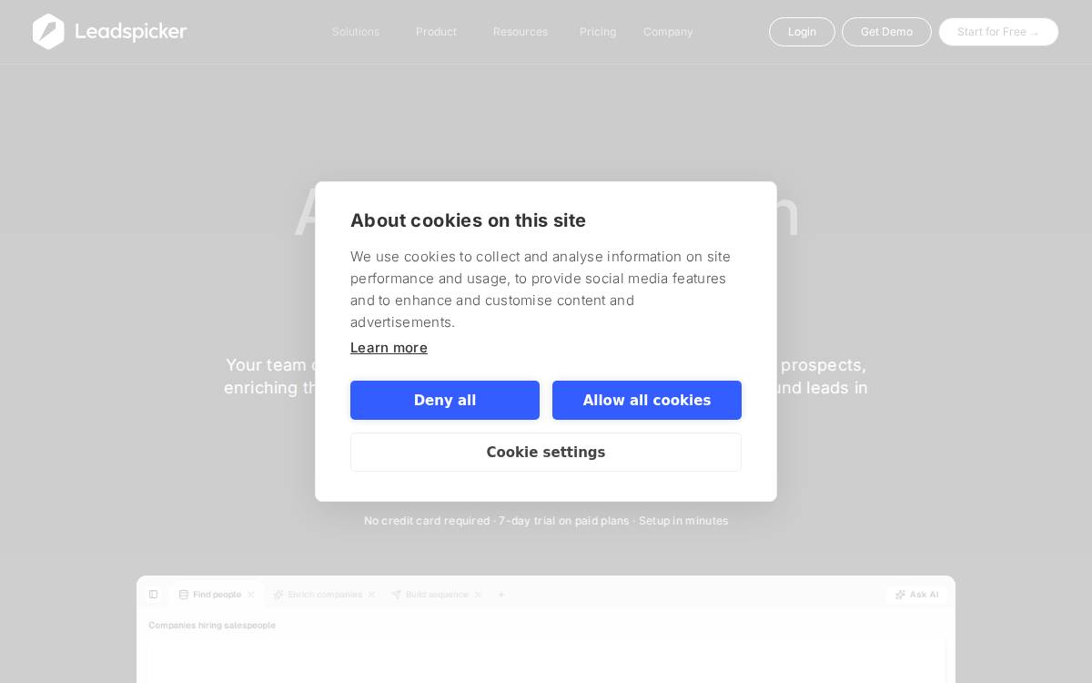 Leadspicker website preview