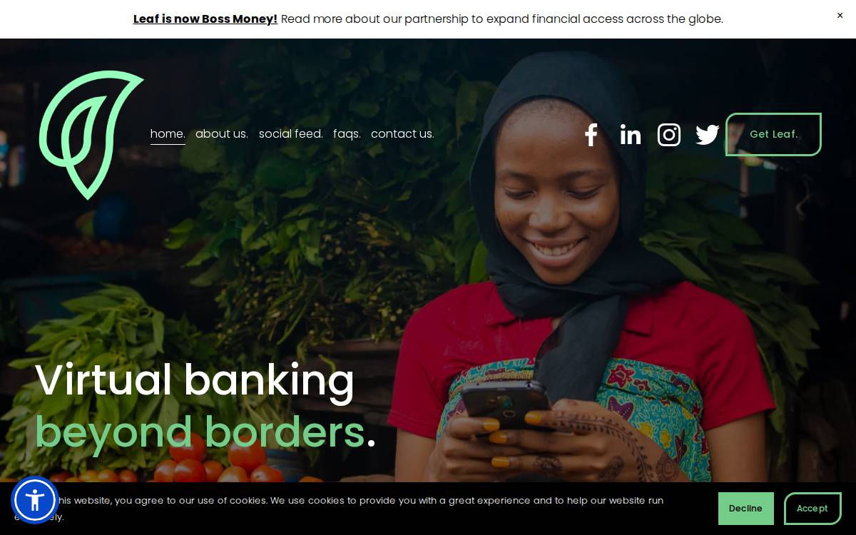 Leaf Global Fintech website preview
