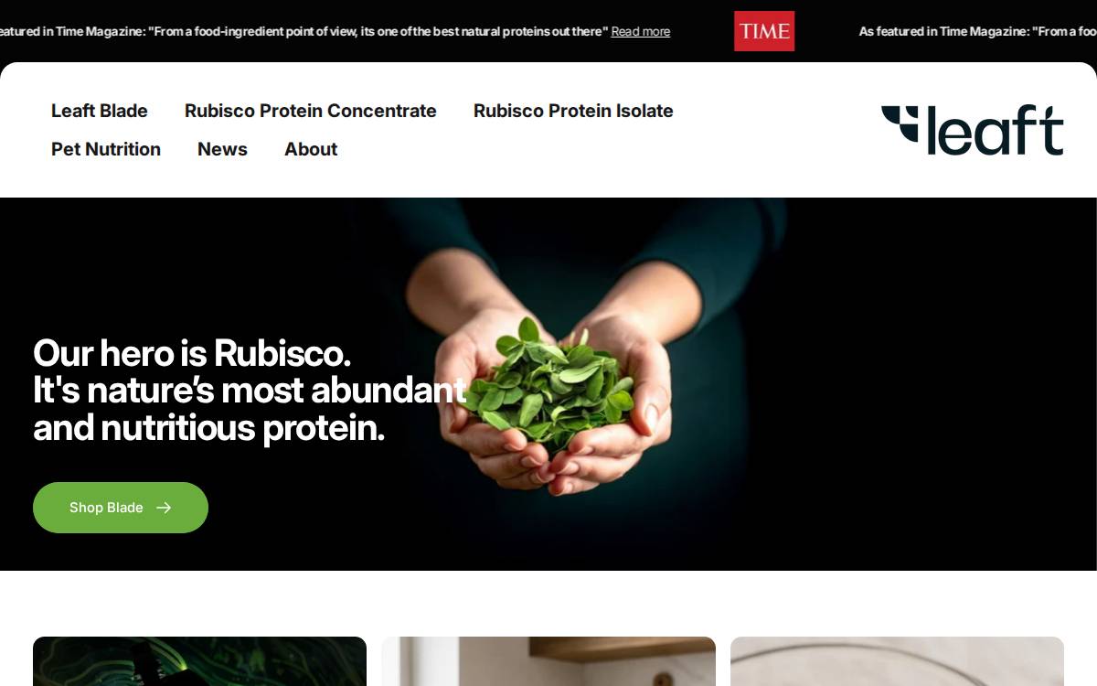 Leaft Foods website preview