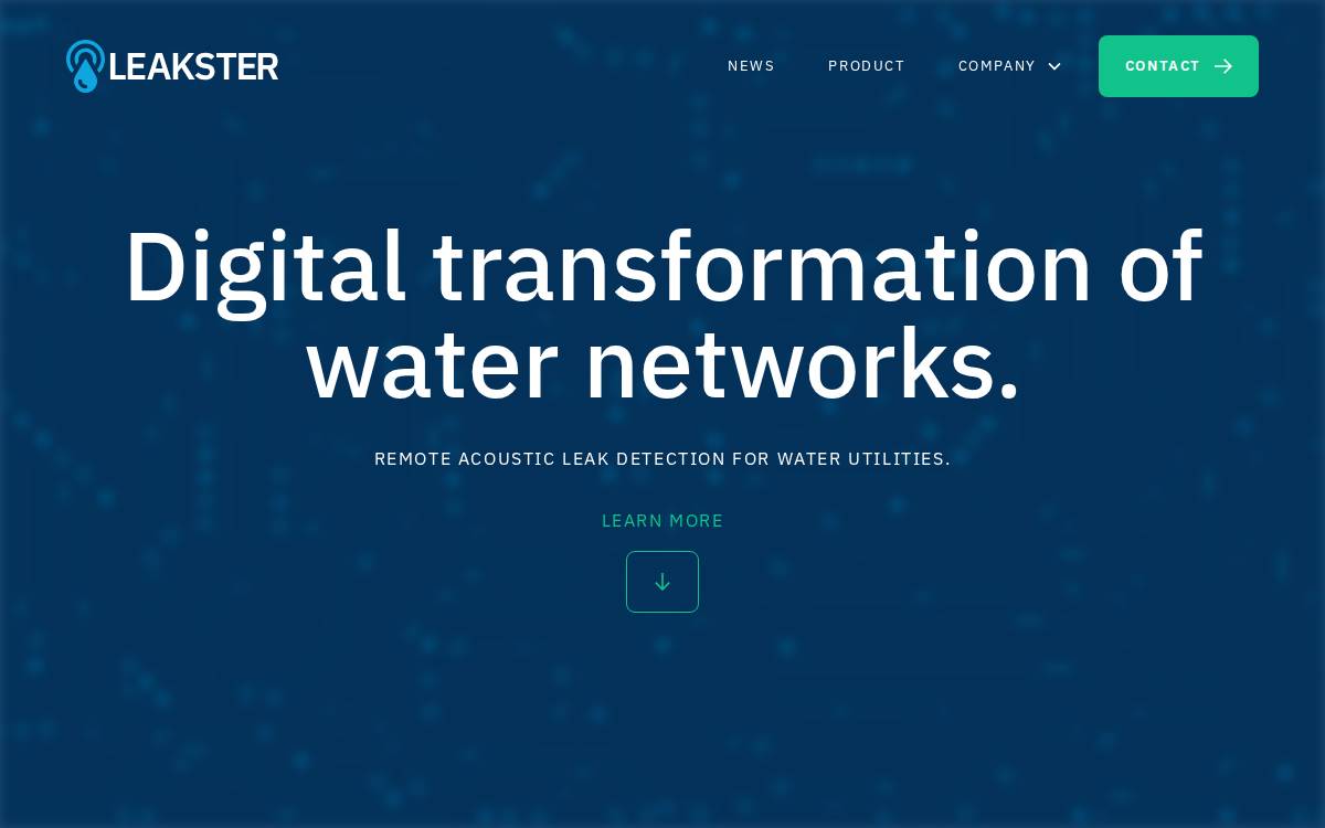 Leakster website preview