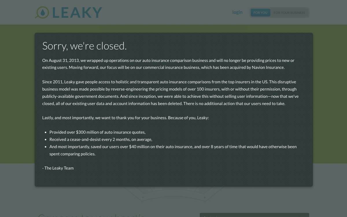 Leaky website preview