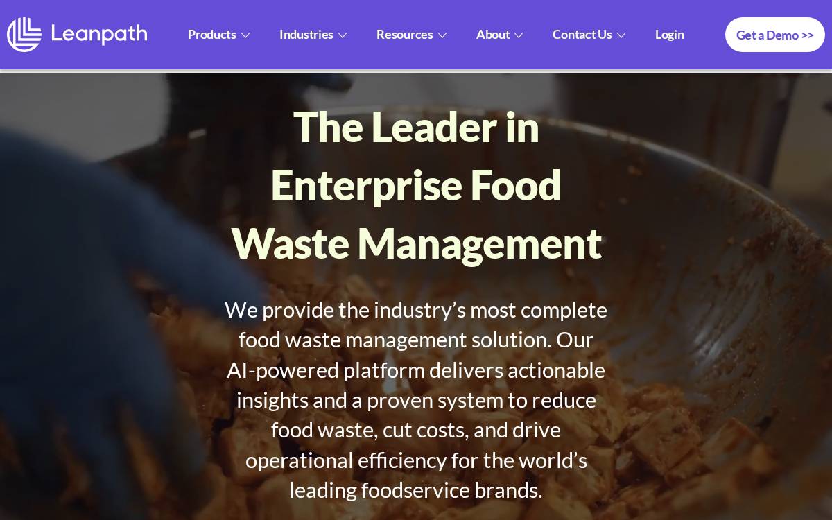 Leanpath website preview