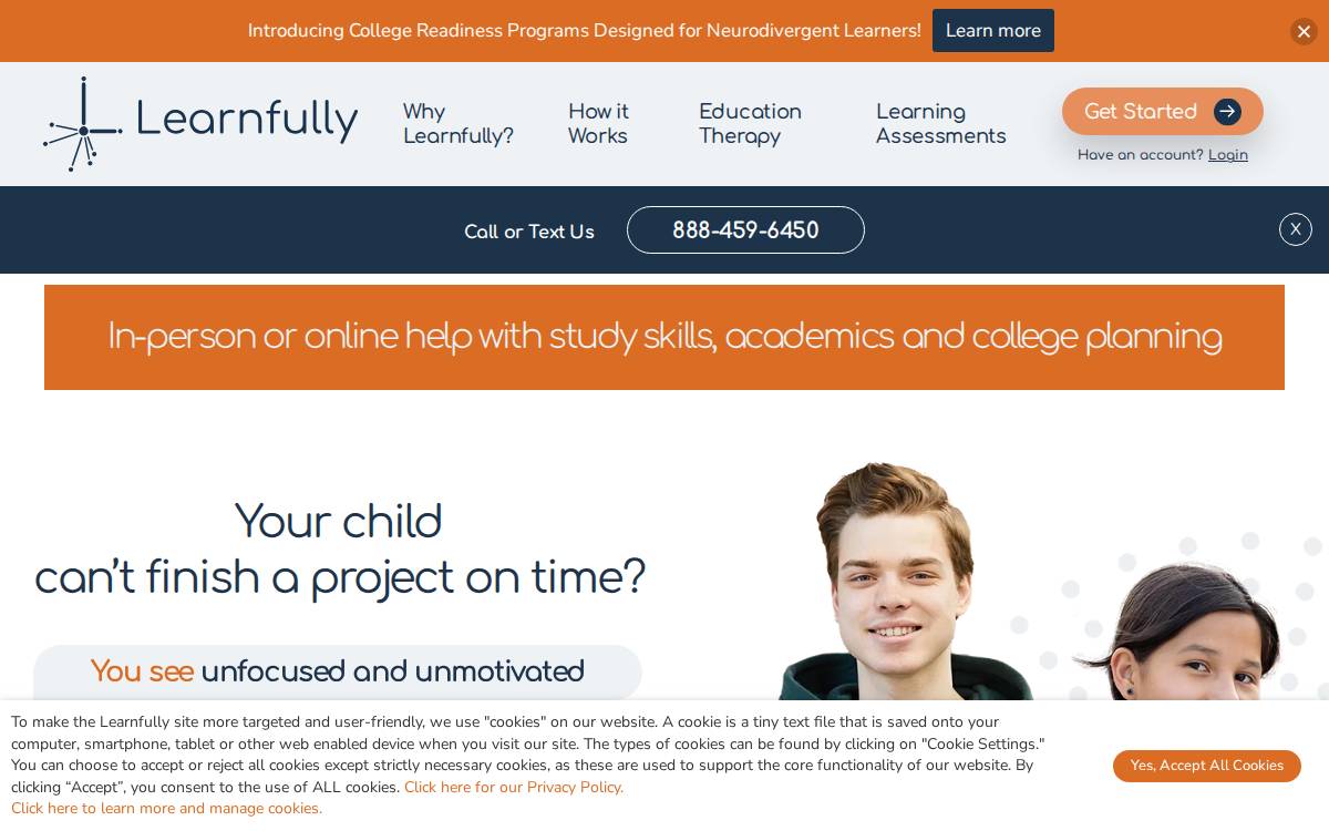Learnfully website preview