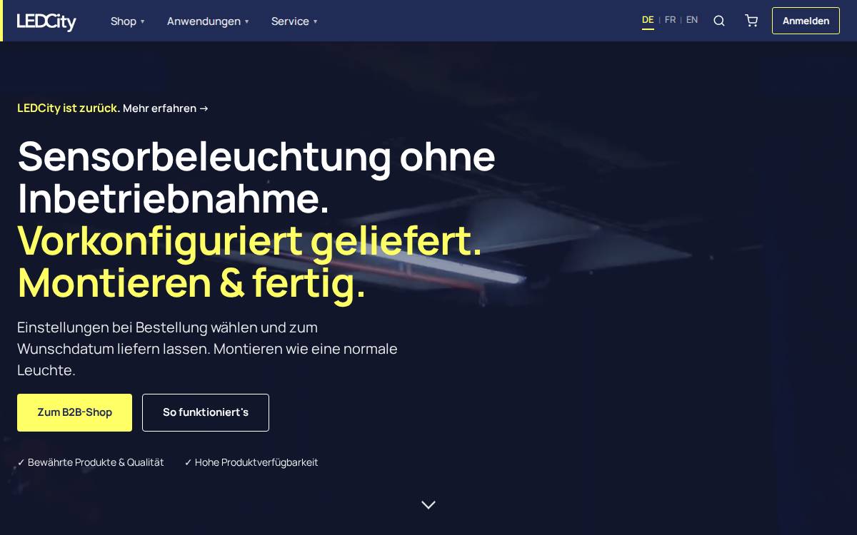 Ledcity website preview