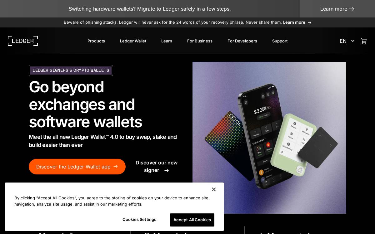 Ledger website preview