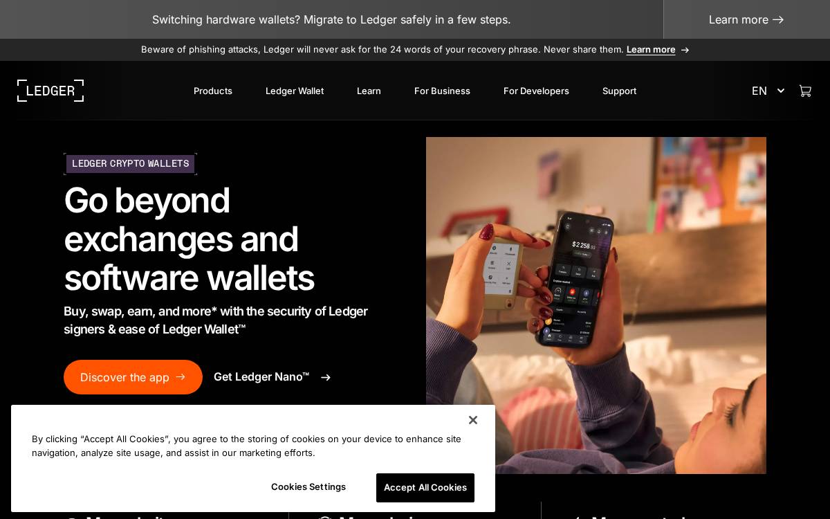 Ledger website preview
