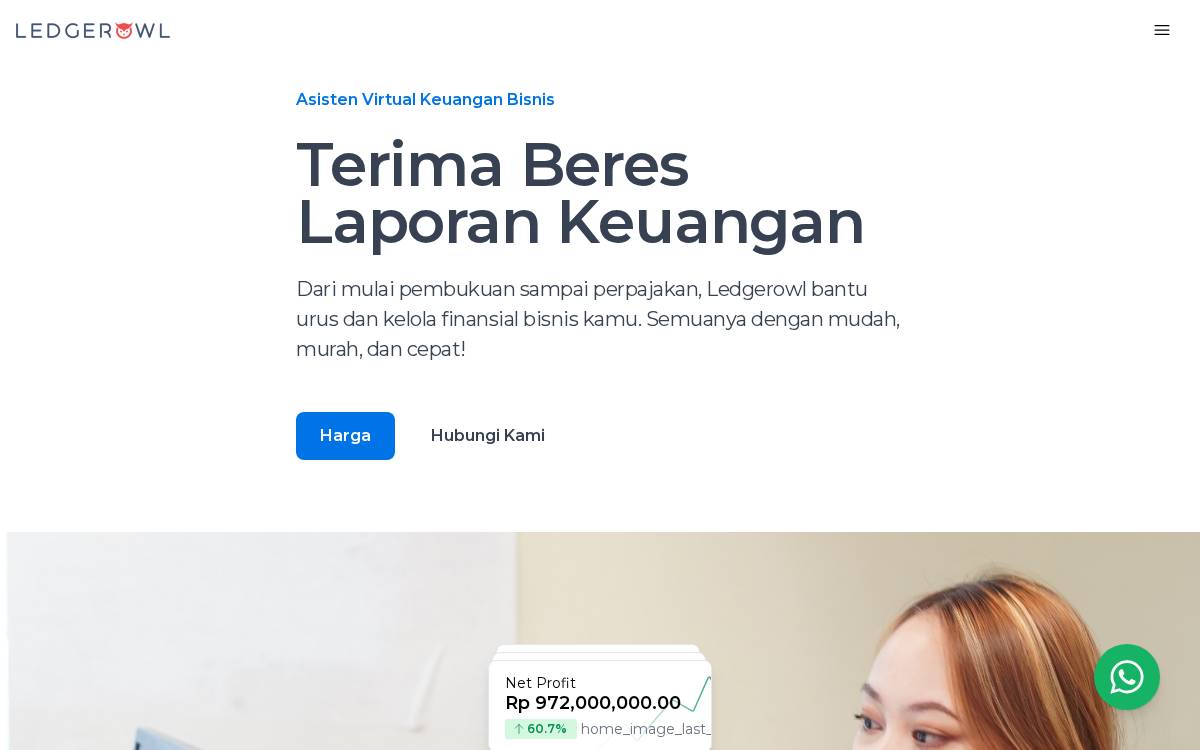 Ledgerowl website preview