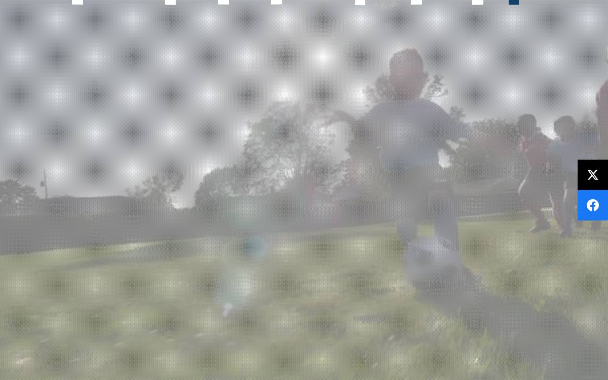 Leifras website preview