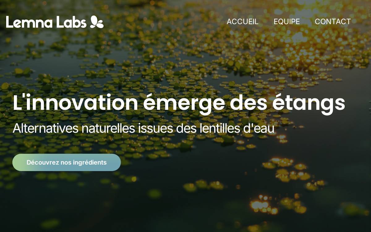 Lemnalabs website preview