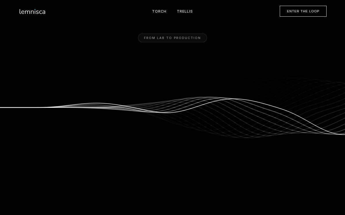 Lemnisca website preview