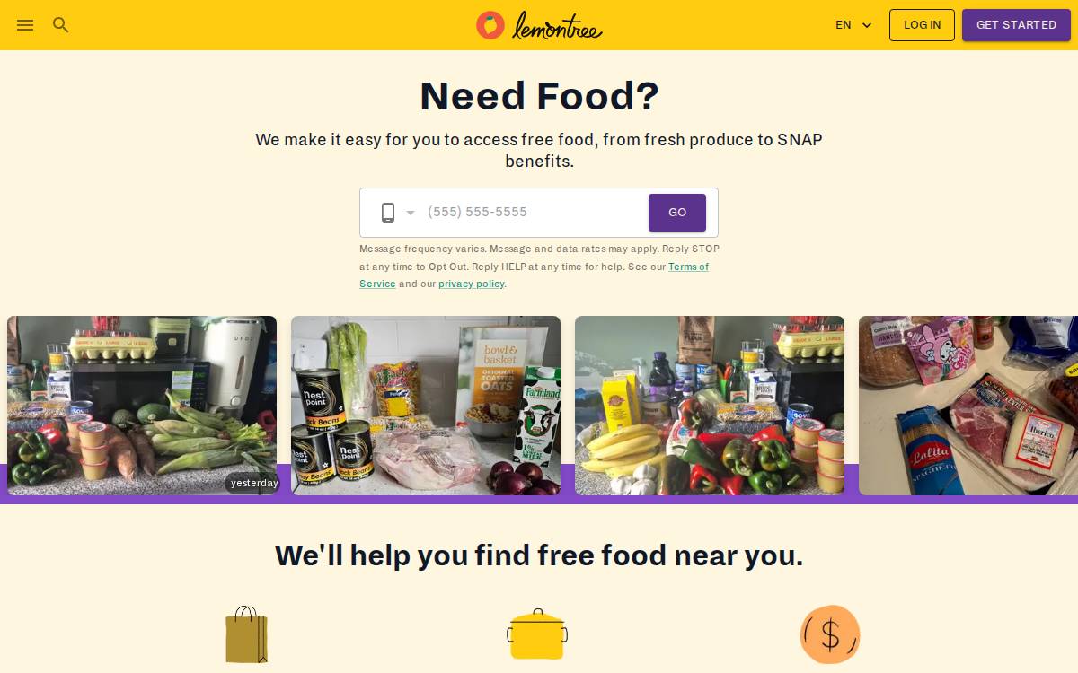 LemonTree website preview
