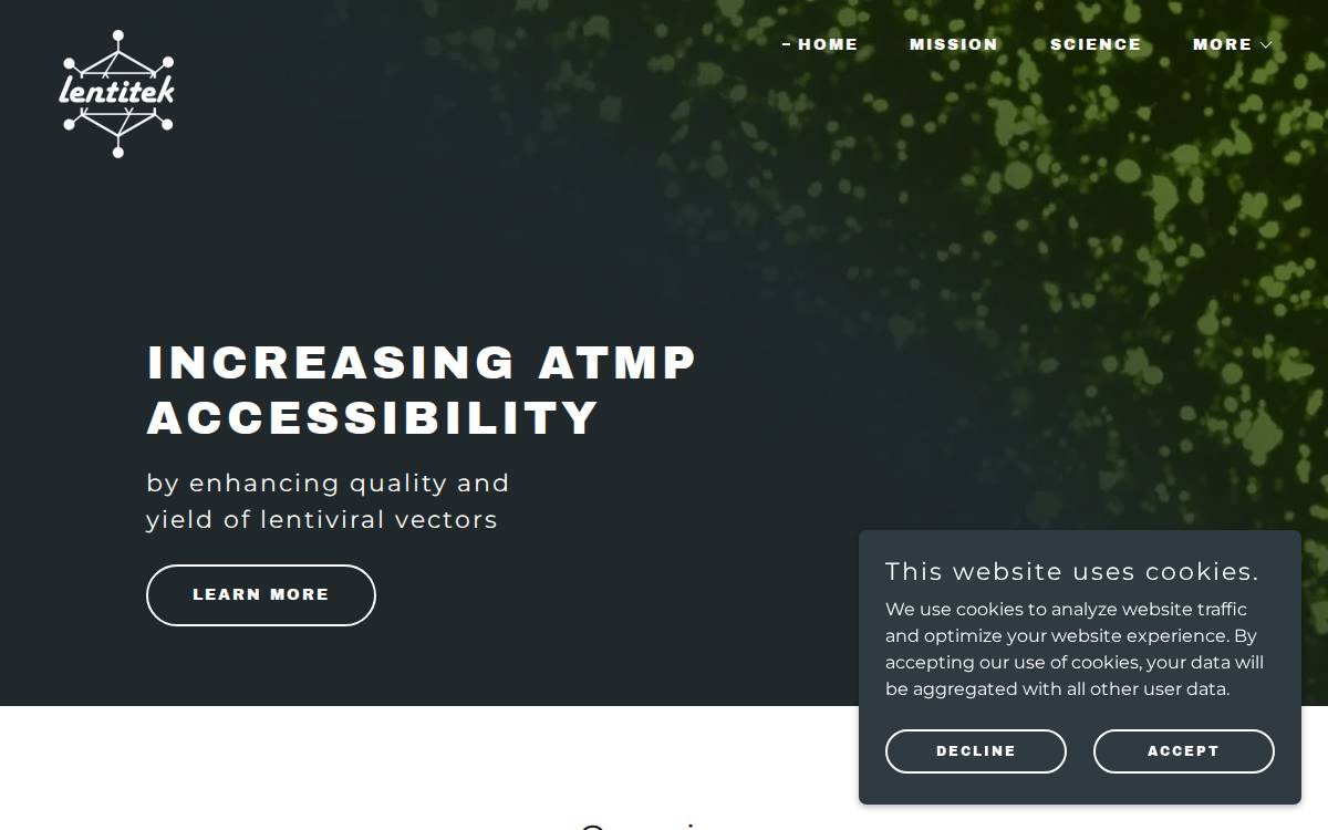Lentitek website preview