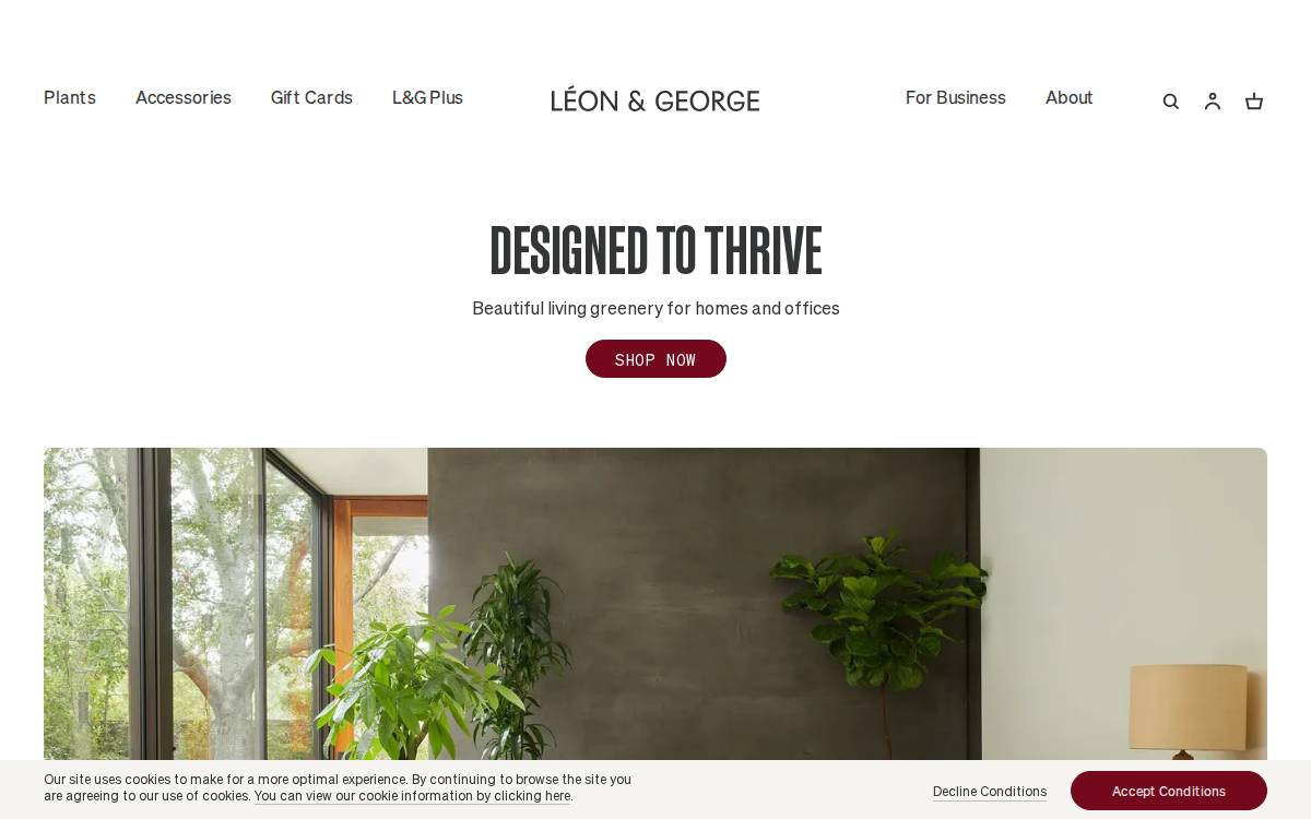 Leon & George website preview