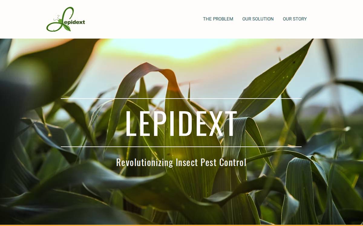 Lepidext website preview