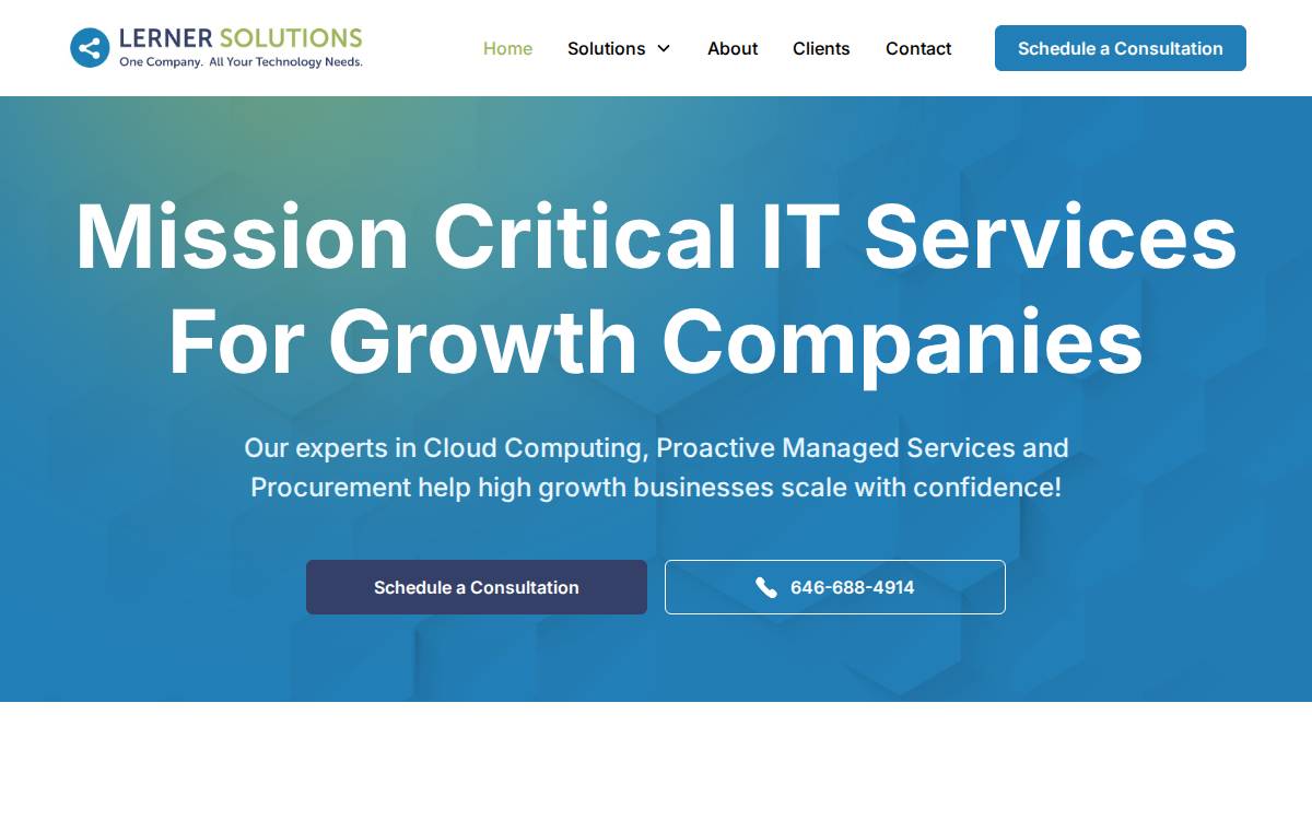 Lerner Solutions website preview