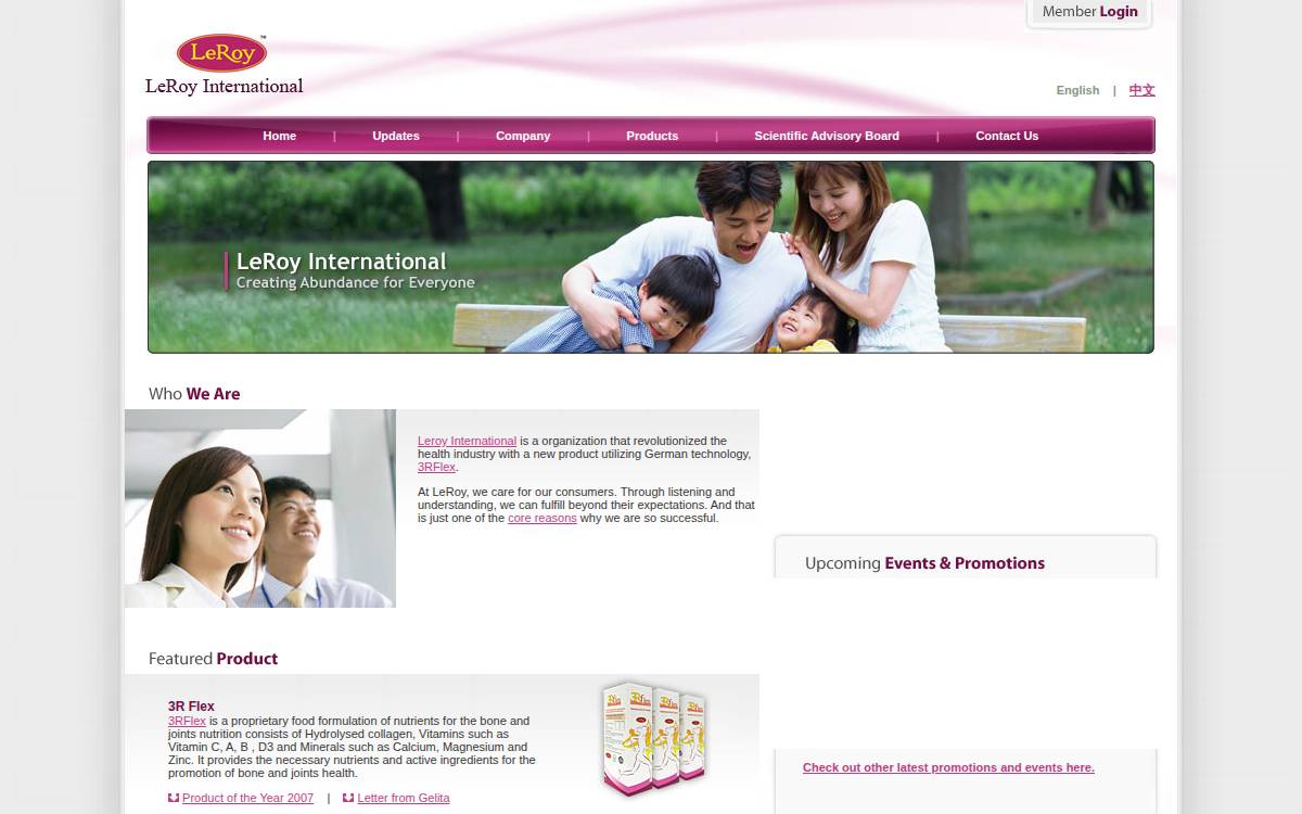 Leroyinter website preview