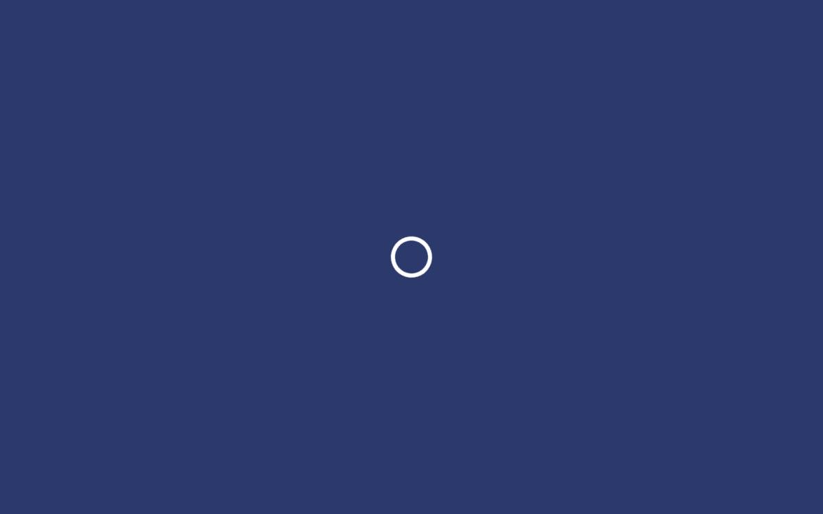 Leto website preview