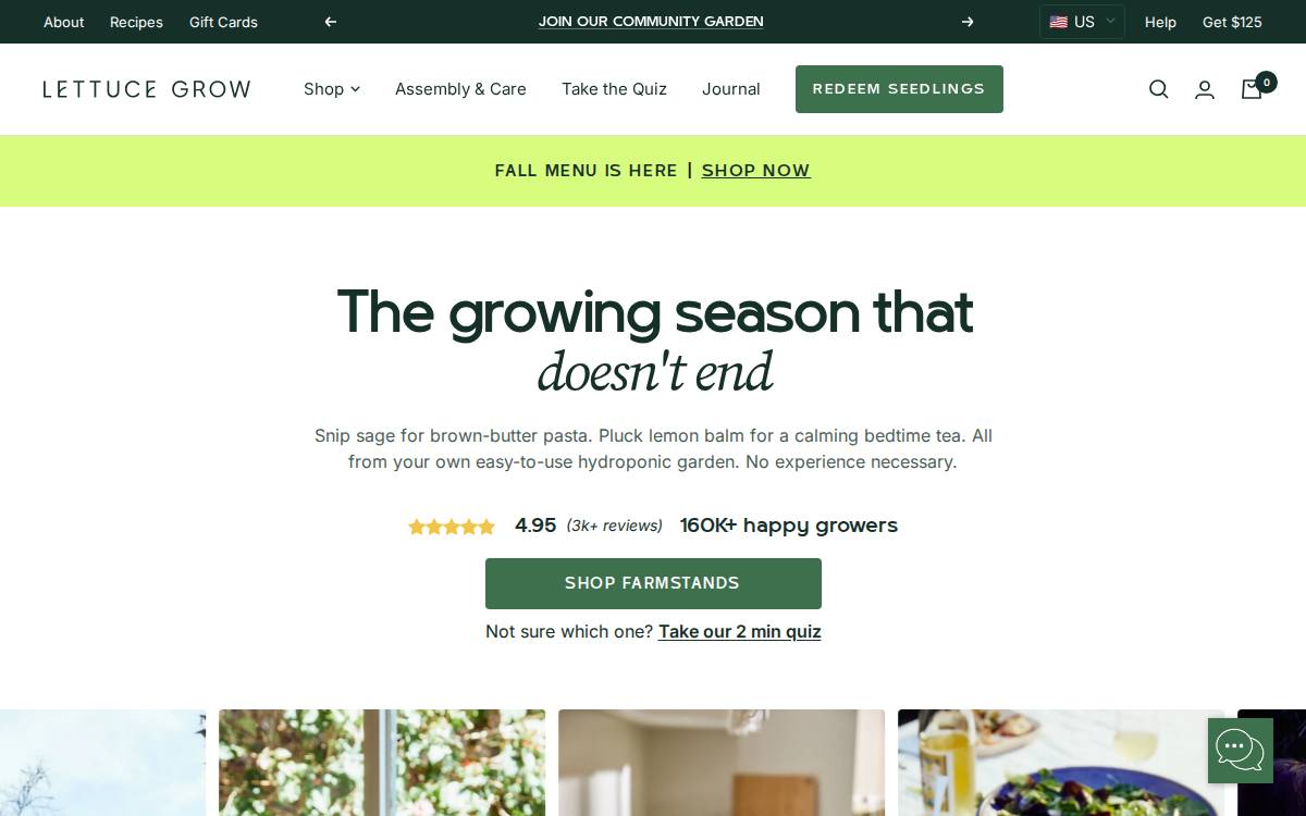 LETTUCE GROW website preview