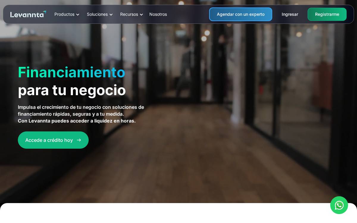 Levannta website preview