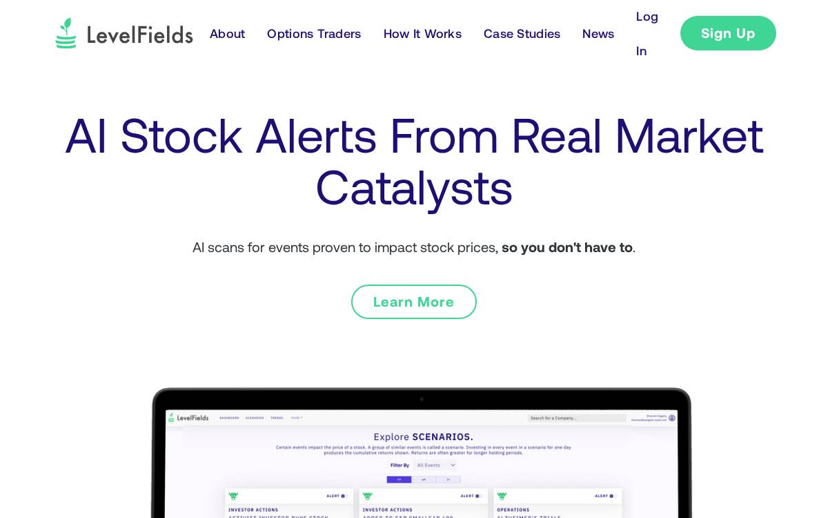 LevelFields website preview