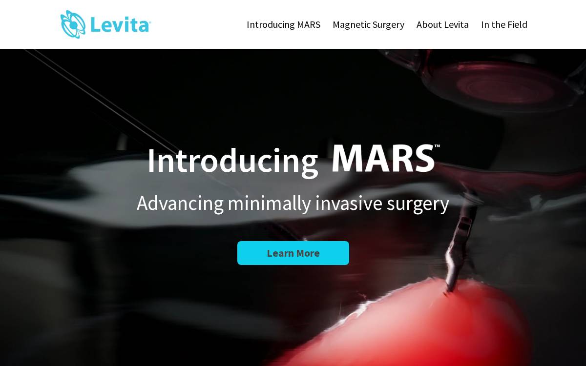 Levita website preview