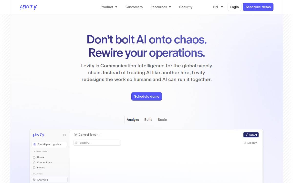Levity website preview