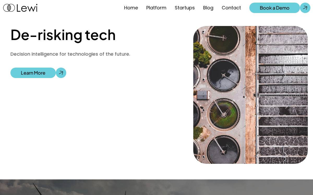 Lewi Software website preview