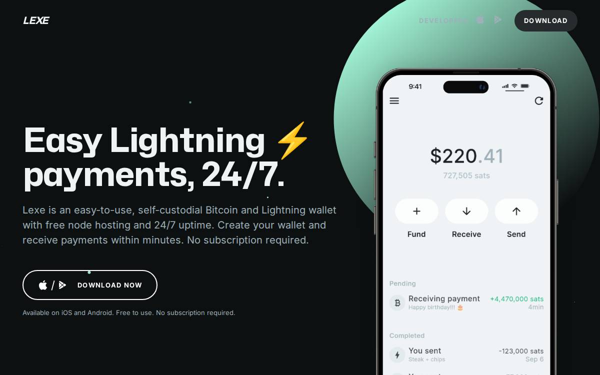 Lexe website preview